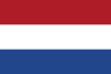 Geel - De rozenwebshop. - Casino - klimroos, klimroos pharmarosaneonatal.nl