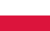 Żółty - Sklep internetowy z różami. - Casino - róża pnąca, róża pnąca - pharmarosaneonatal.pl
